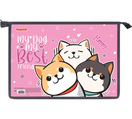 Папка Пифагор для тетрадей А4, 1 отделение, картон/пластик, на молнии, Best team, 272124