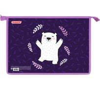Папка Пифагор для тетрадей А4, 1 отделение, картон/пластик, на молнии, Happy bear, 272126