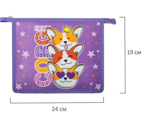 Папка Пифагор для тетрадей А5, 1 отделение, пластик, на молнии, Corgi queen, 272192