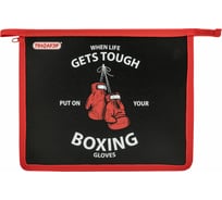 Папка Пифагор для тетрадей А5, 1 отделение, пластик, на молнии, Boxing, 272196