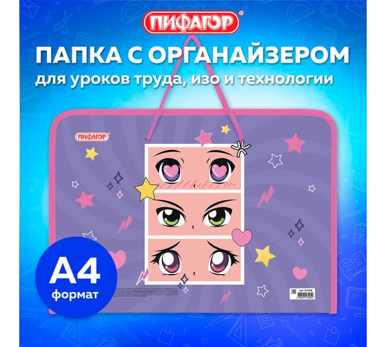 Папка Пифагор для труда на молнии с ручками А4, 1 отд., пластик, органайзер, Anime eyes, 272228