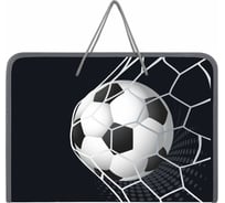 Папка Пифагор для труда на молнии с ручками А4, 1 отд., пластик, органайзер, Ball kick, 272229