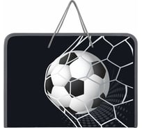 Папка Пифагор для труда на молнии с ручками А4, 1 отд., пластик, органайзер, Ball kick, 272229