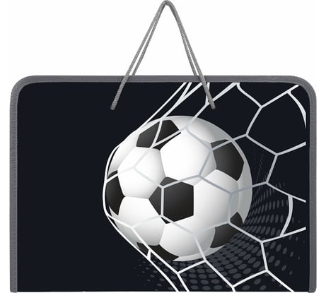 Папка Пифагор для труда на молнии с ручками А4, 1 отд., пластик, органайзер, Ball kick, 272229