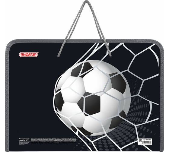 Папка Пифагор для труда на молнии с ручками А4, 1 отд., пластик, органайзер, Ball kick, 272229