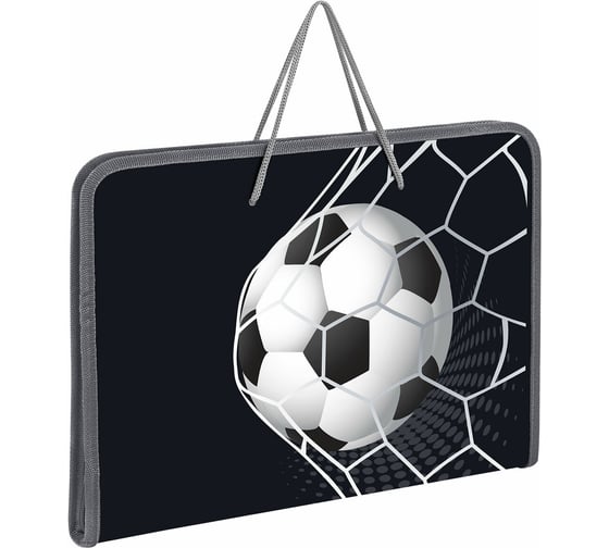 Папка Пифагор для труда на молнии с ручками А4, 1 отд., пластик, органайзер, Ball kick, 272229