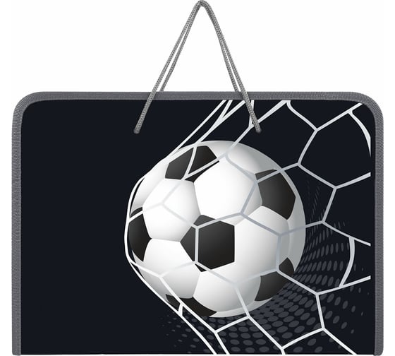 Папка Пифагор для труда на молнии с ручками А4, 1 отд., пластик, органайзер, Ball kick, 272229
