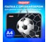Папка Пифагор для труда на молнии с ручками А4, 1 отд., пластик, органайзер, Ball kick, 272229 2