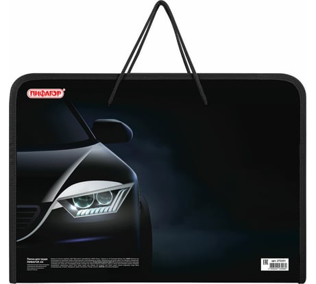 Папка Пифагор для труда на молнии с ручками А4, 1 отд., пластик, органайзер, Car flash, 272231