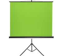 Зеленый фон (хромакей) на шативе Digis DSKG-1820 106" (180x200 см) Kontur-G 65623 065623 34534957