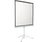 Экран на штативе Digis DSKD-4303 (Kontur-D, формат 4:3, 100", 206x159, рабочая поверхность 200x150, MW) 0 36599 2