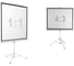 Экран на штативе Digis DSKD-4303 (Kontur-D, формат 4:3, 100", 206x159, рабочая поверхность 200x150, MW) 0 36599 3