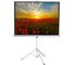 Экран на штативе Digis DSKD-4303 (Kontur-D, формат 4:3, 100", 206x159, рабочая поверхность 200x150, MW) 0 36599 4