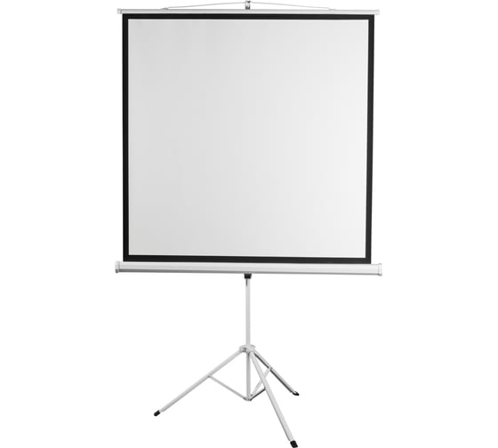 Экран на штативе Digis DSKD-1105 Kontur-D, формат 1:1, 100", 186x189, рабочая поверхность 180x180 MW 36596 036596