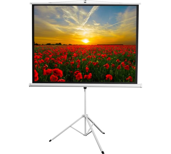 Экран на штативе Digis DSKD-1105 Kontur-D, формат 1:1, 100", 186x189, рабочая поверхность 180x180 MW 36596 036596