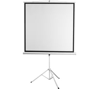 Экран на штативе Digis DSKD-1103 Kontur-D, формат 1:1, 84", 156x159, рабочая поверхность 150x150 MW 36594 036594