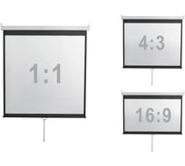 Настенный экран Digis DSOD-16907 Optimal-D, формат 16:9, 135", 308x177, рабочая поверхность 300x168 MW 64263 064263