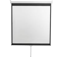 Настенный экран Digis DSOD-4303 Optimal-D, формат 4:3, 100", 206x159, рабочая поверхность 200x150 MW 36592 036592
