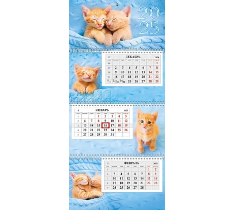 Календарь квартальный HATBER 3-х блочный, на 3-х гребнях, 297x655 мм, ЭКСТРА 086515