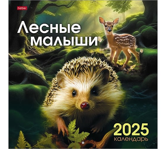 Календарь настенный перекидной HATBER 6 листов, 30x30 см, ЭКОНОМ, на 2025 г, бумага мелованная 086972