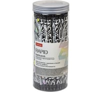 Чернографитный карандаш HATBER круглый корпус, 72 шт., RAPID 079530