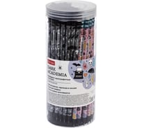 Чернографитный карандаш HATBER круглый корпус, 72 шт., Dark Academia 082775