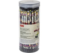 Чернографитный карандаш HATBER круглый корпус, 72 шт., Mushrooms 079532