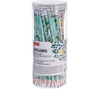 Чернографитный карандаш HATBER Dreams круглый корпус, 72 шт. 065981