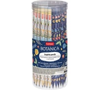 Чернографитный карандаш HATBER круглый корпус, 72 шт., Botanica 079531