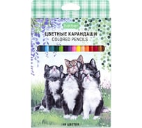 Карандаши цветные HATBER ECO 18 цветов Котики бывают разными, заточенные 084400