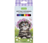 Карандаши цветные HATBER ECO 24 цвета Котики бывают разными, заточенные 084401