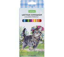 Карандаши цветные HATBER ECO 12 цветов Котики бывают разными заточенные 084399