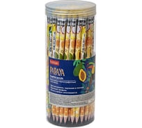 Карандаш чернографитный HATBER набор круглый корпус 72 шт Papaya/Папа 079537
