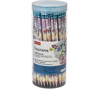 Карандаш чернографитный HATBER набор круглый корпус 72 шт Tropicana/Т 079539