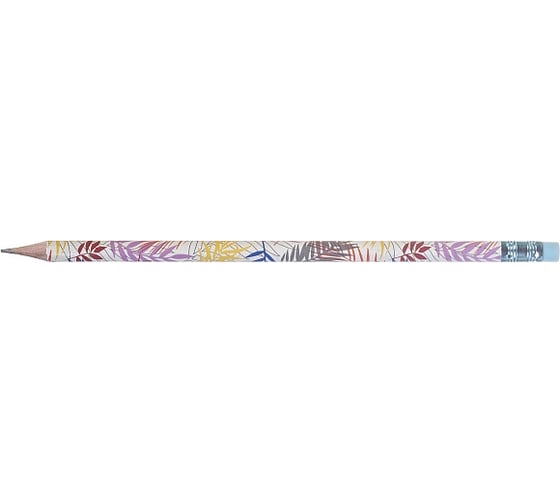 Карандаш чернографитный HATBER набор круглый корпус 72 шт Tropicana/Т 079539