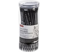 Карандаш чернографитный HATBER набор Pantera круглый корпус 72 шт 072750