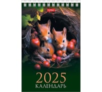 Календарь настольный HATBER ДОМИК 105x160 мм, бумага мелованная, на гребне, Стандарт 085898