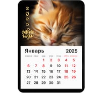 Календарь отрывной на магните BRAUBERG 2025,, 130x180мм, склейка, Котик, 116281