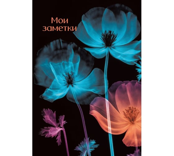 Книга для записей listoff ЕТИФ5128660 1