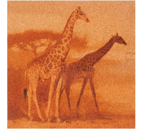 Пробковая доска Attache 40х40 с рисунком, Саванна, 3 шт в наборе 747201