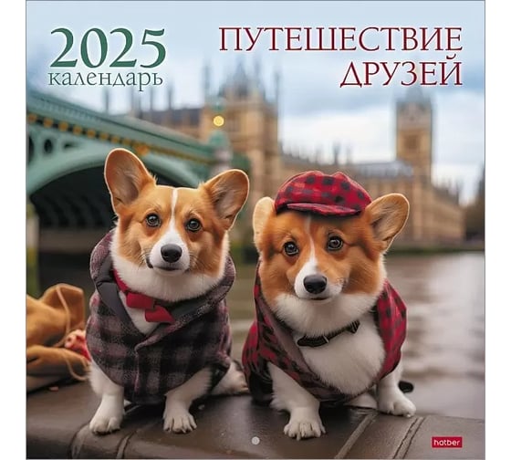 Календарь настенный перекидной HATBER 6 листов, 30x30 см, ЭКОНОМ, на 2025 г, бумага мелованная 086974