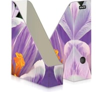 Вертикальный накопитель Attache Selection CROCUS 75 мм, 2 шт 930923