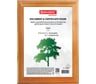 Рамка BRAUBERG HIT, 15х20 см, дерево, багет 18 мм, канадская сосна, стекло, подставка, 390020