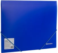 Неоновая папка BRAUBERG Neon на резинках, синяя, до 300, листов, 0.5мм 227463