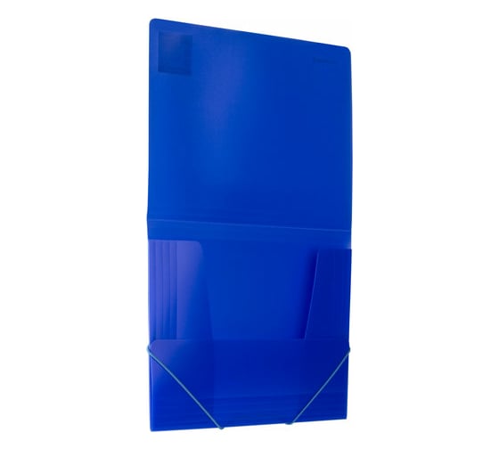 Неоновая папка BRAUBERG Neon на резинках, синяя, до 300, листов, 0.5мм 227463