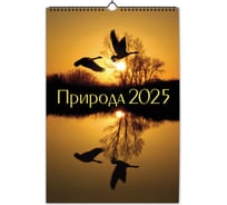 Календарь на спирали ND Play Природа Маркет на 2025 год 313099