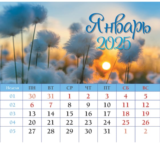 Календарь-домик евро ND Play Цветы Маркет на 2025 год 313100