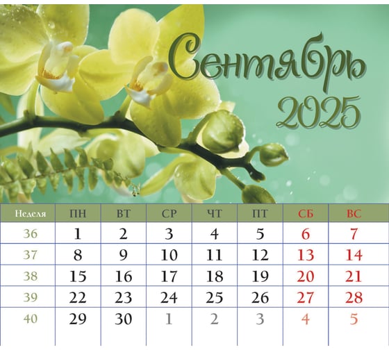 Календарь-домик евро ND Play Цветы Маркет на 2025 год 313100