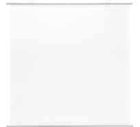 Экран CACTUS 180x180 см Map type CS-PSRM-180x180-WT 1:1 настенно-потолочный рулонный белый 1989996