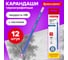 Чернографитные карандаши BRAUBERG ZTX НАБОР 12 шт., HB, с резинкой, синий корпус 180672 2